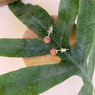 MINI CLOUD Studs - Aprikosrosa
